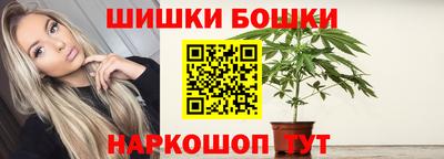 крисы Новокубанск