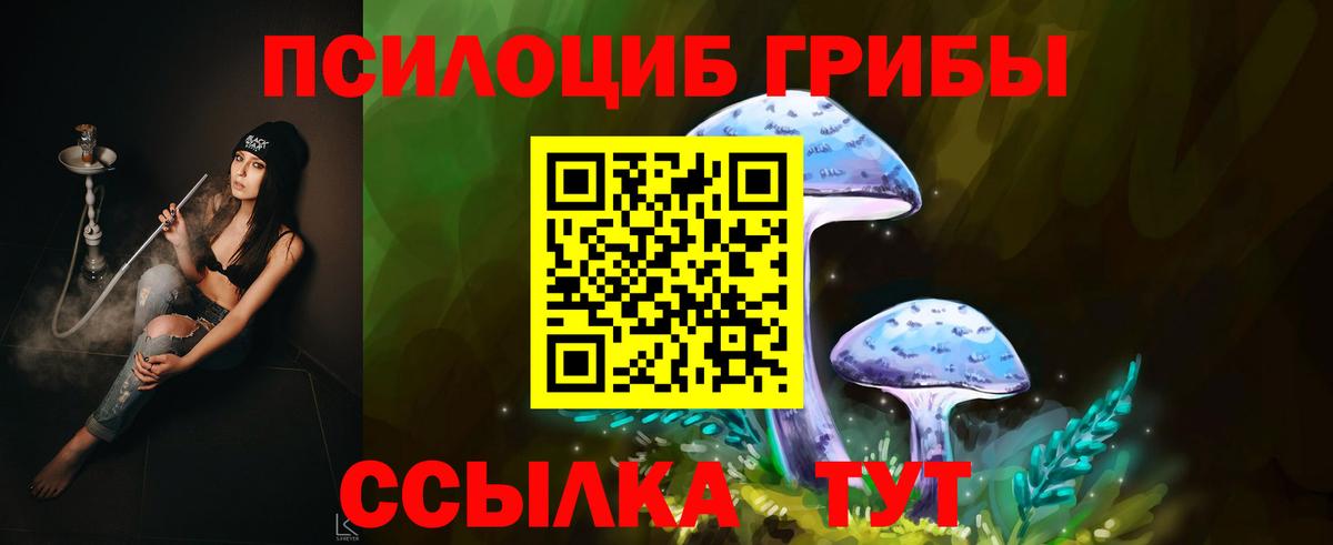 Псилоцибиновые грибы Psilocybine cubensis  Вход с VPN  Псилоцибиновые грибы ЛСД  Удомля 
